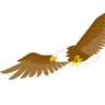 Aguila