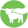 Beyond Meat