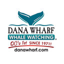 Dana logo