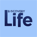 Discovery Life logo