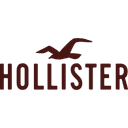 Hollister logo