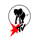 Quintero logo