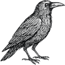 Read logo
