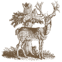 Stag logo