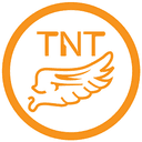 TNT (Media) logo