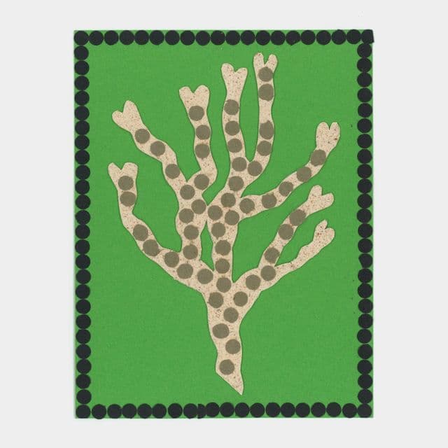 Julie Legrand and Nina Izycka’s zine investigates seaweed