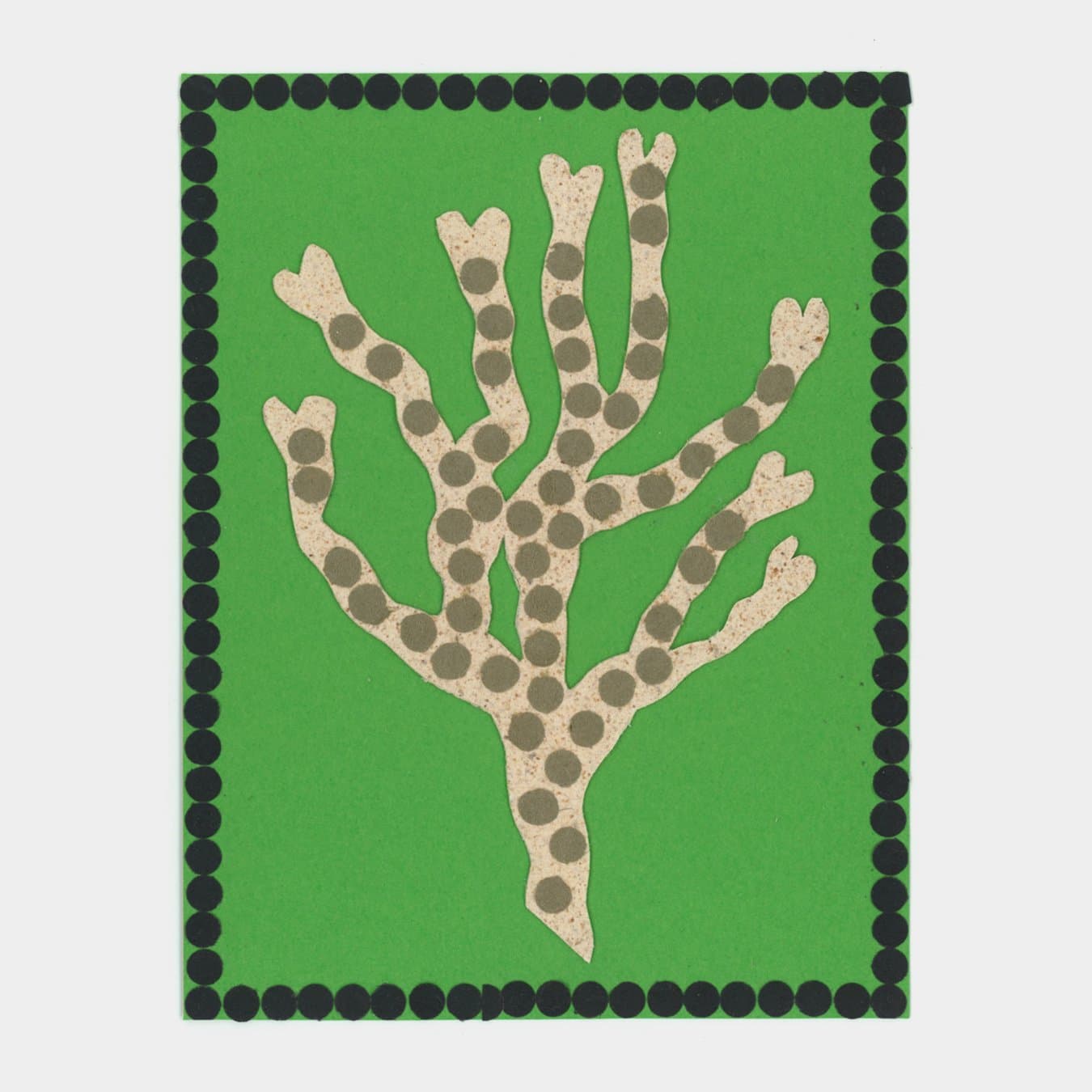 Julie Legrand and Nina Izycka’s zine investigates seaweed