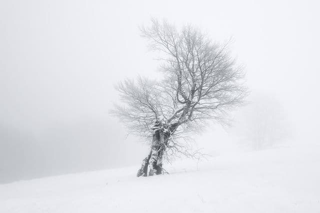 Where You Can Always Find Me, Pt. I :: Behance