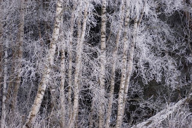 Only in the winter :: Behance