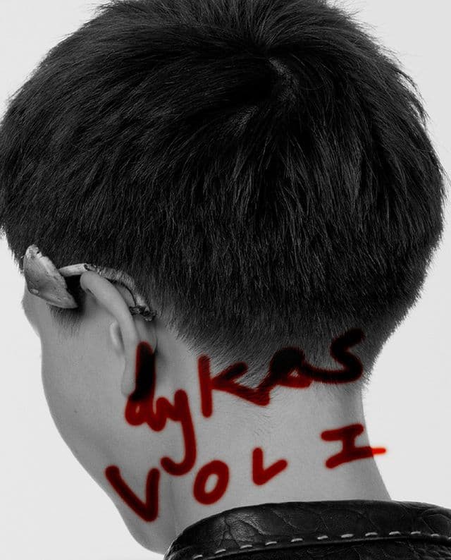 Emily Lipson’s new monograph resists queer stereotypes