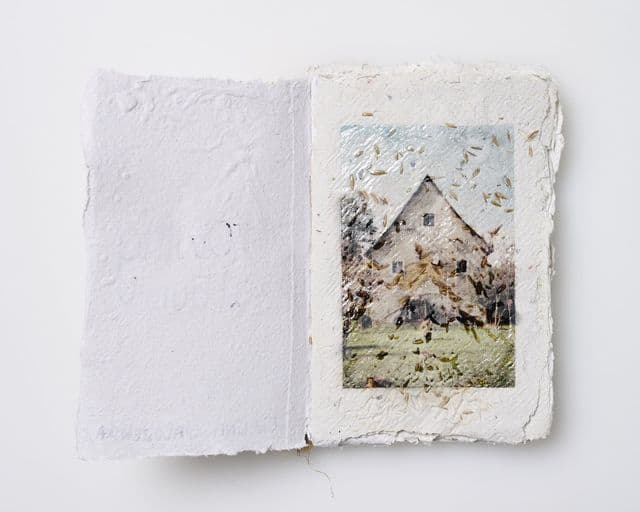 This plantable photobook was designed to grow out of the ground