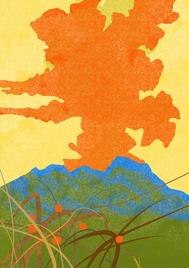 How Lily Kong’s series Sweet Escape reignited her intuitive approach to illustration