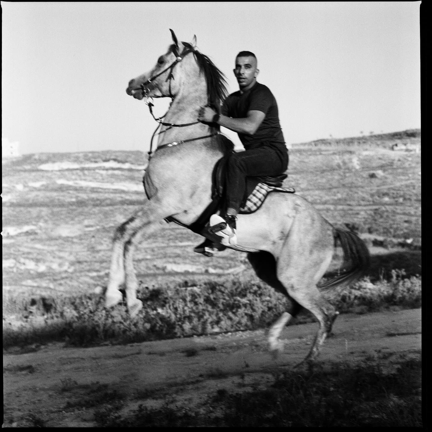 An exhibition of Palestinian photographers visualises the lasting significance of ‘land’