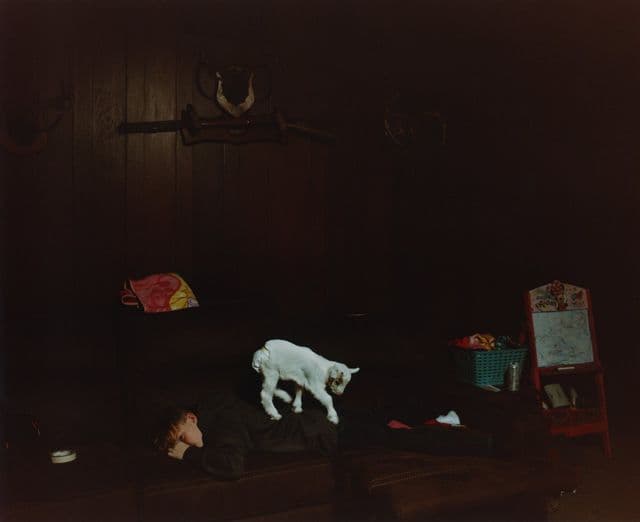 Anthony Wilson’s Mawmaw is a tender photobook on the grandmothers who became mothers again