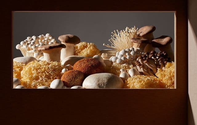 Food Landscapes :: Behance