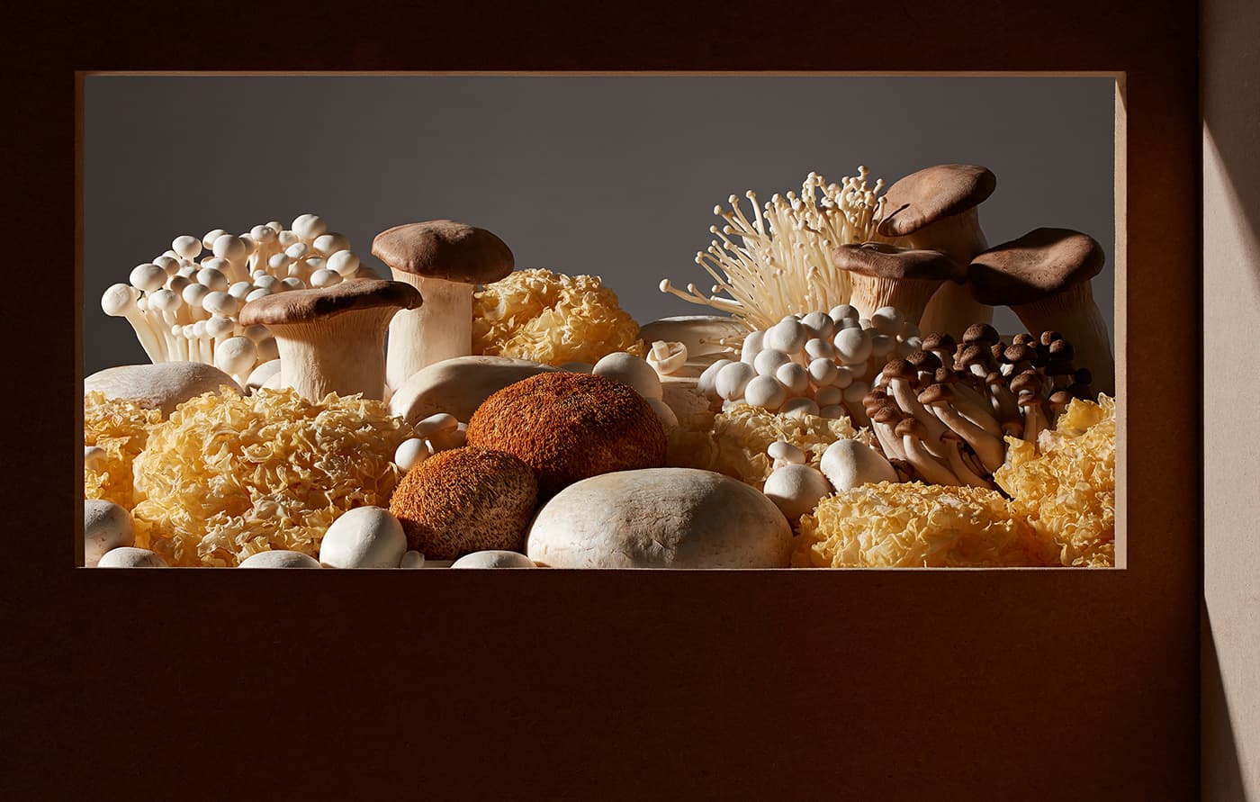 Food Landscapes :: Behance