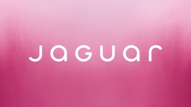 Why Jaguar’s right to stick to its controversial rebrand