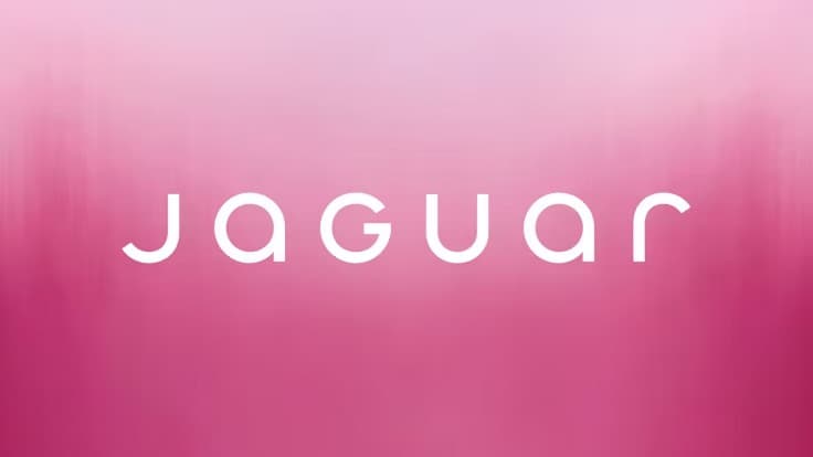 Why Jaguar’s right to stick to its controversial rebrand