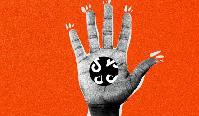 TikTok works to shore up organic social capabilities