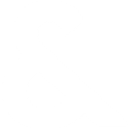 Ace logo