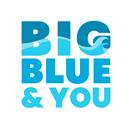 Big Blue logo