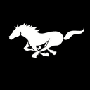 Black Horse logo
