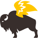 Buffalo Wild Wings, Inc. logo