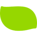 Dole Food Company, Inc. logo