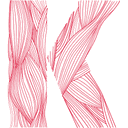 Kinetic logo