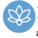La Torinese logo