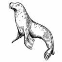 River Runner logo