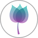 The Blessing Foundation logo
