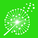 The Meadows logo