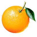Tropicana logo