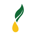 Young Living Essential Oils, LC logo