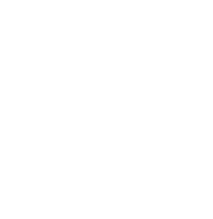 Gut