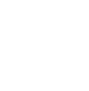 Verizon
